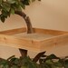 Sycamore Cat Pet Tree House