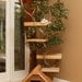 Mature (large) Cat Tree House