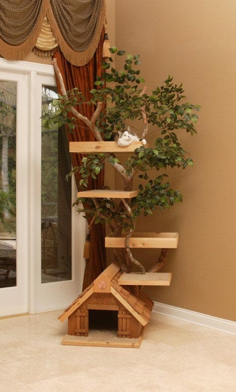 Mature (large) Cat Tree House