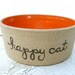 happy cat