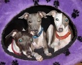 Doodle Dome Pet Bed - Size Medium 12-25 pounds - You Choose your color