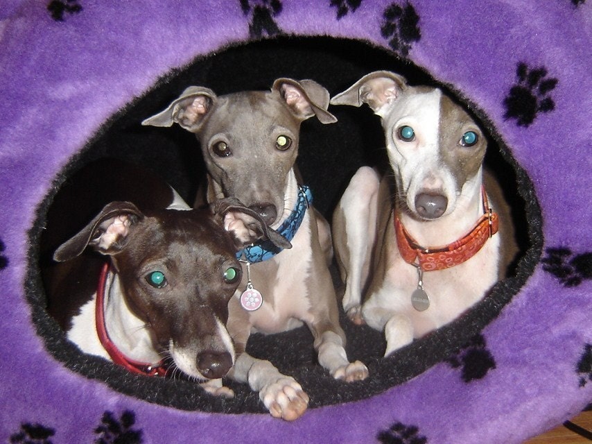 Doodle Dome Pet Bed - Size Medium 12-25 pounds - You Choose your color