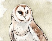 Barn Owl Watercolor Study 1 in Green - Fine Art Print