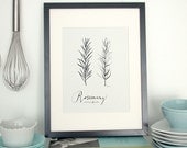 Rosemary 8.5x11 -Culinary Art- Collection