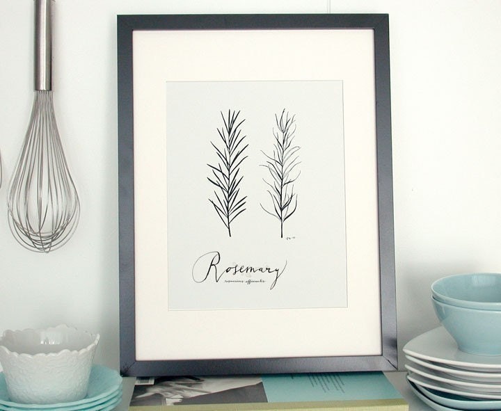 Rosemary 8.5x11 -Culinary Art- Collection