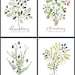 4 BERRIES SET -Culinary Art- Collection