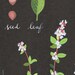 Thyme print 8.5x11 - Botanical collection - flower plant herbs -