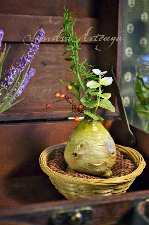 Papum Tuber
