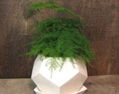Geo planter Small - White