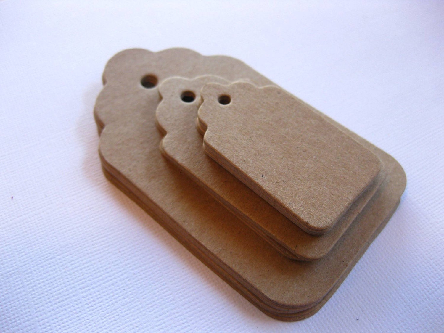 48 Kraft Cardstock Tags - 3 Sizes