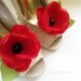 OMG Becky, Look at Lauren's Shoes Poppy flower Shoe clips (set of two)