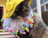 Little Miss Sunshine sun bonnet and party collar for dogs and cats