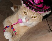 8x10" Photographic Print of tabby rescue cat in Fiesta Fuchsia cat sombrero hat