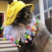 Little Miss Sunshine sun bonnet and party collar for dogs and cats