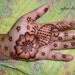 Ready to Use Freshly Mixed Henna Paste - 1oz Hand Rolled Cone