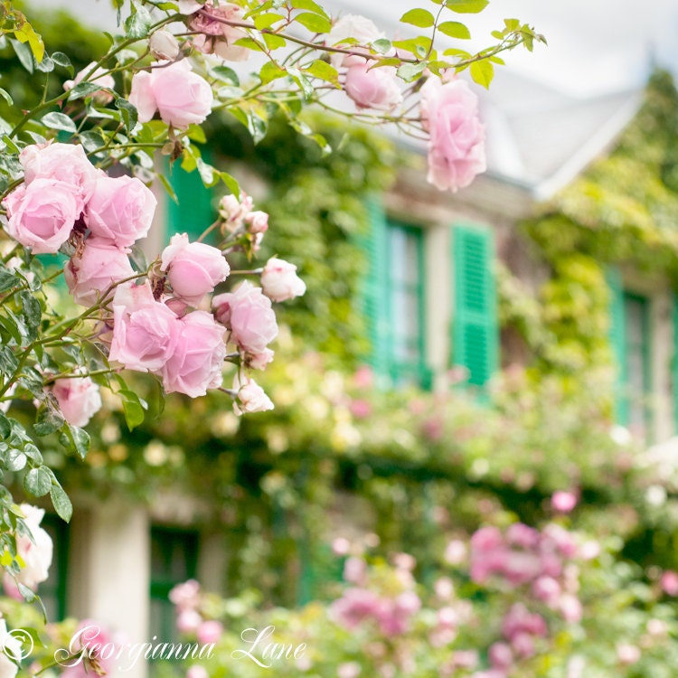 France Photo - Monet's House, Giverny, Roses, Maison, Teal Shutters, Romantic Floral Fine Art Travel Photograph