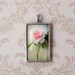 Rose Photo Gift Pendant -  Antiqued Silver  Resin Jewelry Charm - Wearable Floral Photograph
