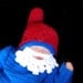 Little Gnome, and Papa Gnome set Crochet Pattern PDF 622