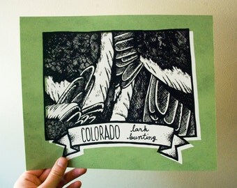 Colorado State Bird 8 x 10 Print