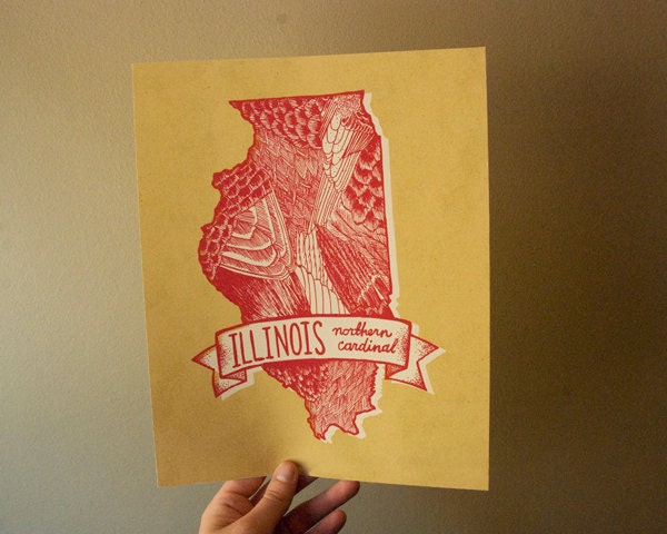 Illinois State Bird 8 x 10 Print