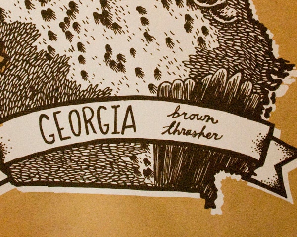 Georgia State Bird- Brown Thrasher 8 x 10 Print