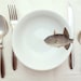 fishy fish Cereal Bowl - petite bouche