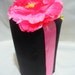 Black Satin Headband Clippie Holder by Bubbles and Company