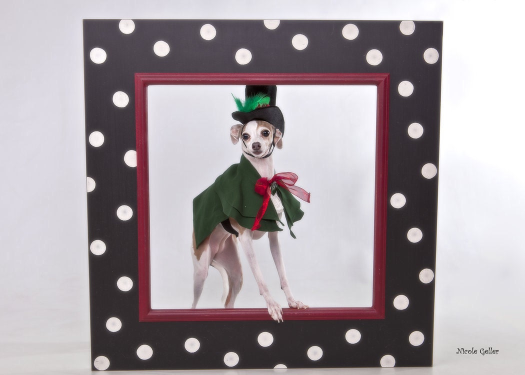 Christmas Caroler Dog Pet Costume outfit by MattiOnline on Etsy CUSTOM small to medium size