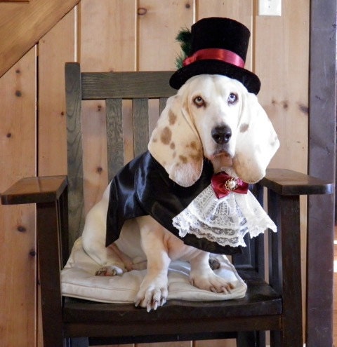 Christmas Caroler Dog Pet Costume outfit by MattiOnline on Etsy CUSTOM small to medium size