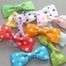 50 Polka Dot Grosgrain Ribbon Bow Applique 10 Colors EA81