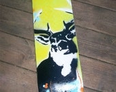 Art Skateboard Deck CUSTOM ART WORK, ready to ride or hang