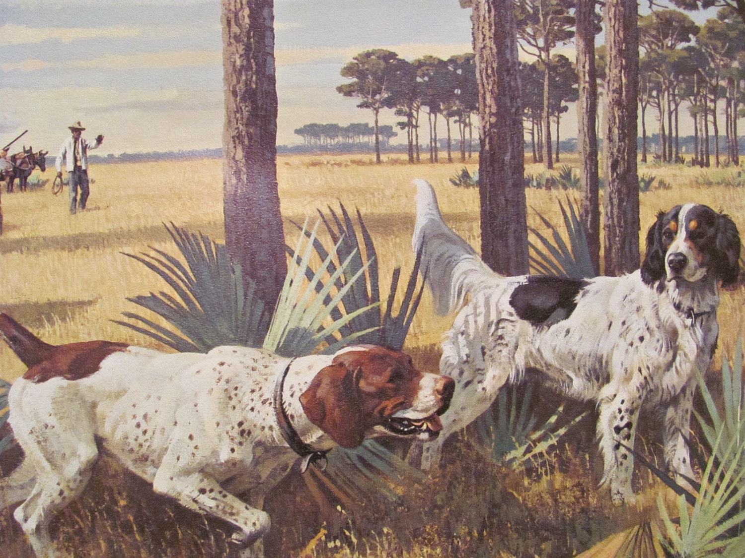 Vintage Illustration Hunting Dogs - 12 x 16 Pointer English Setter