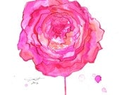 Watercolor Peony Painting, Jessica Durrant - In Full Bloom print