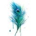 Watercolor Teal Peacock Painting print version