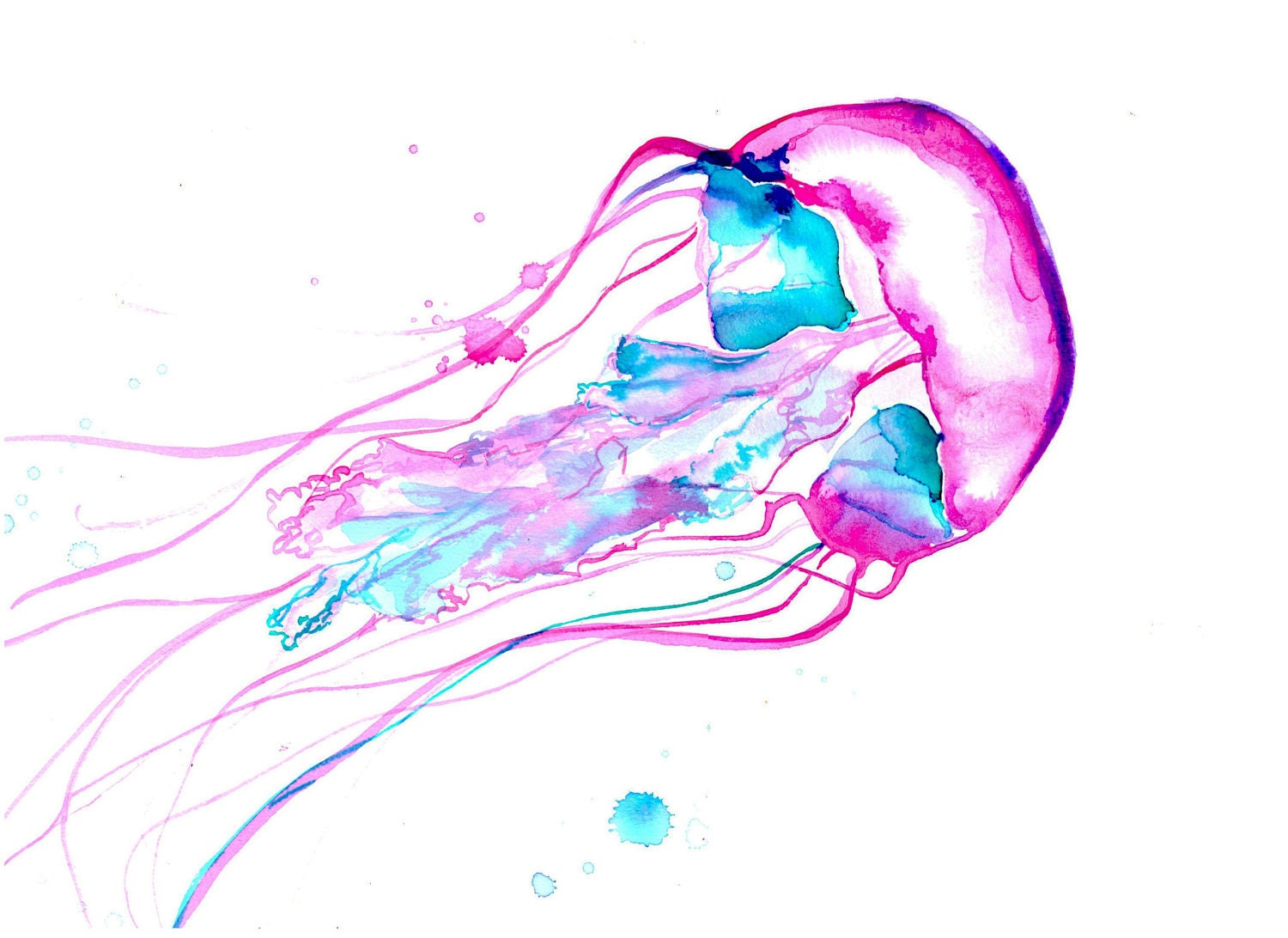 Print from original watercolor jellyfish study no. 2 by Jessica Durrant