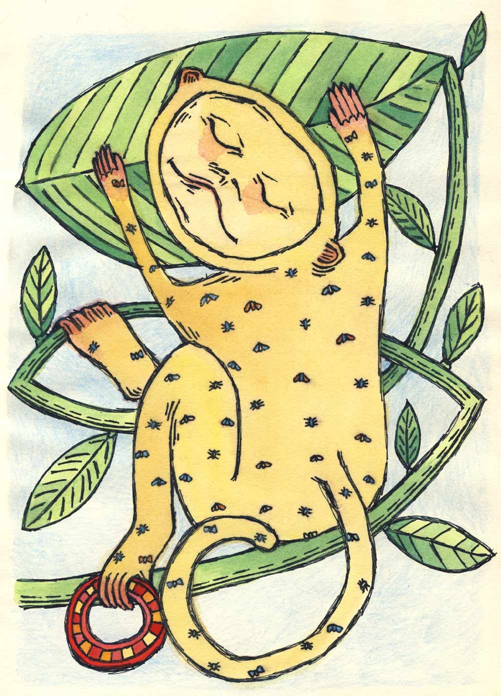 Monkey . . . .watercolor & ink drawing
