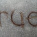 Lauren's Custom Twig Letters
