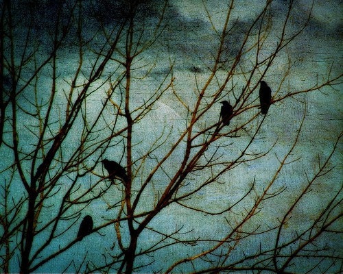 A Meeting At Dusk 5x7 Fine Art Photography Print.