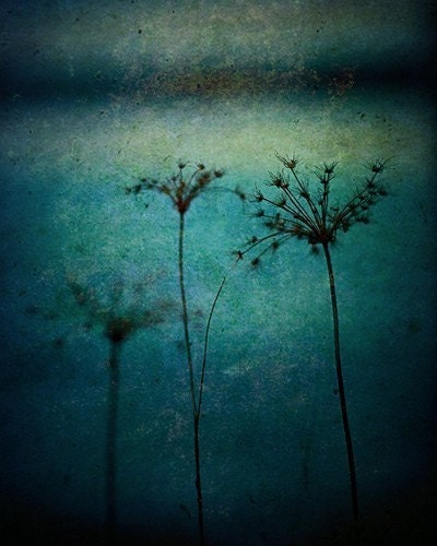 Nature Photography - 3 Mothers 8x10 Fine Art Photography Print - Ready To Ship