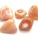 Apricot Agate Tumbled Stones