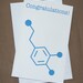 Chemistry Colored Pencils - Set of 24 Labels