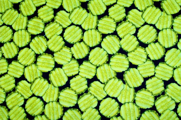 pickle fabric