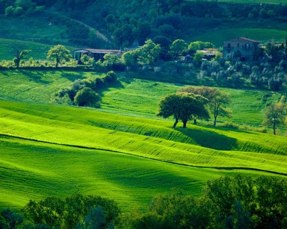 Photo of green fields in Tuscany Italy Italian landscape Umbria soft spring sunny olive trees hills florence siena - Spring Sonata