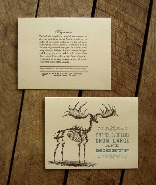 May Your Antlers Grow Large and Mighty