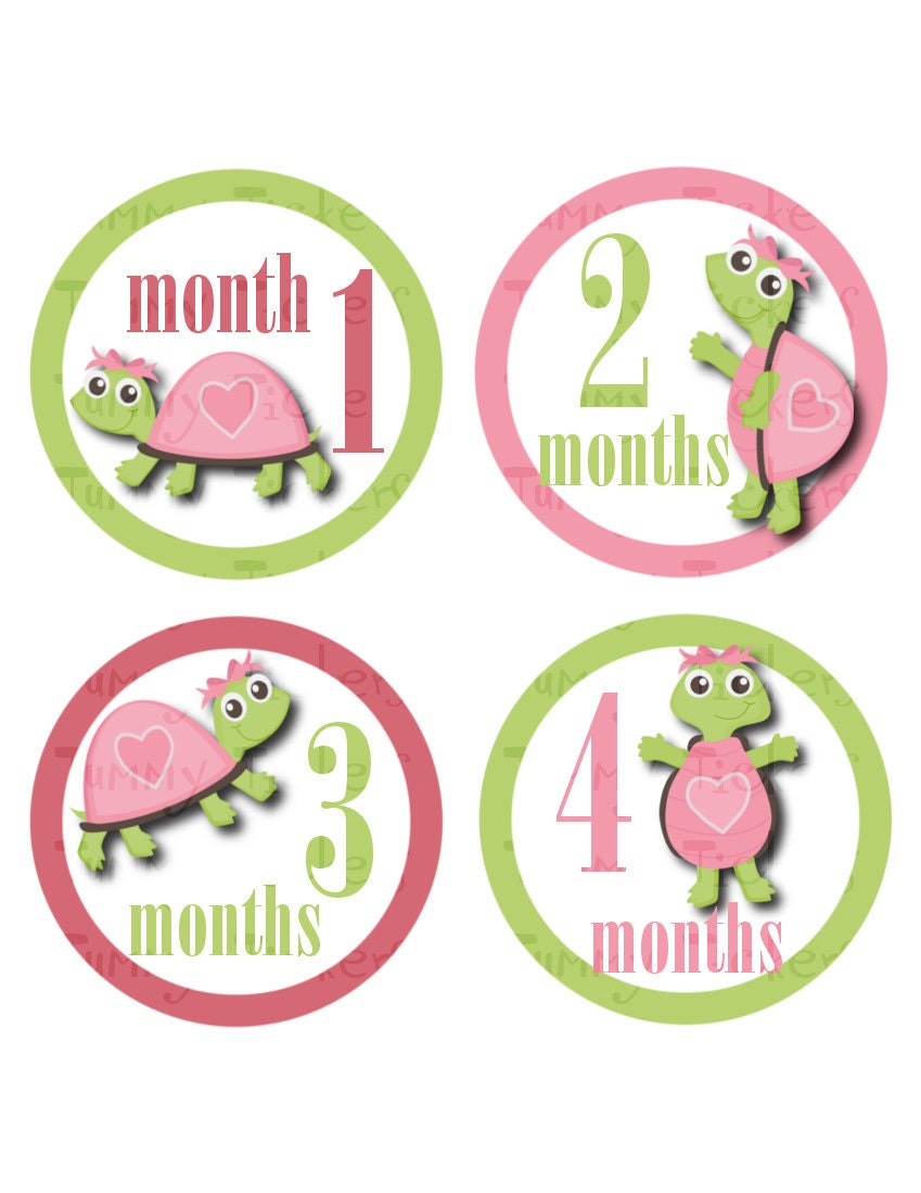 Monthly Onesie Stickers...Set of 12 Girls...Turtles...Ready to Ship...Waterproof....Months 1-12