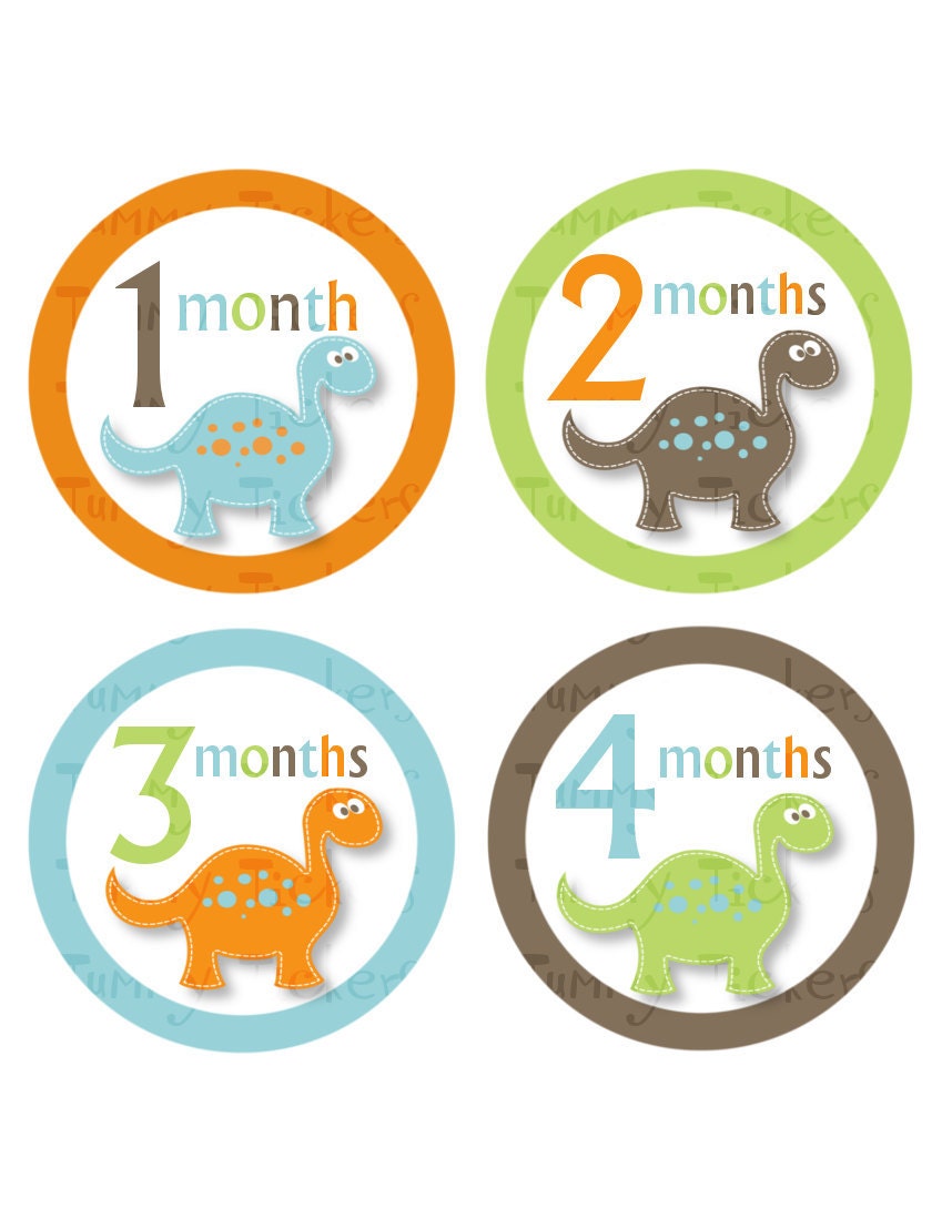 Monthly Onesie Stickers...Set of 12 Boys...Colorful Dinos...Ready to Ship...Waterproof....Months 1-12
