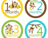 Monthly Onesie Stickers...Set of 12 Boys...Monkeys...Ready to Ship...Waterproof....Months 1-12