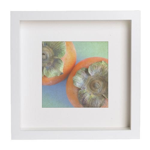 Persimmon - 5x5 Fine Art Photograph
