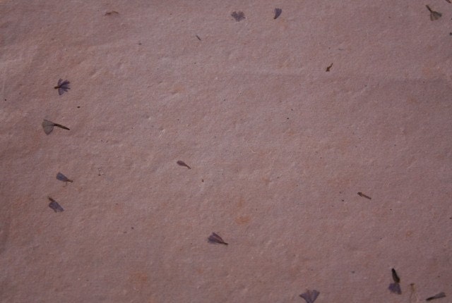 African Handmade Paper - Peach petal - 26 by 19 inches