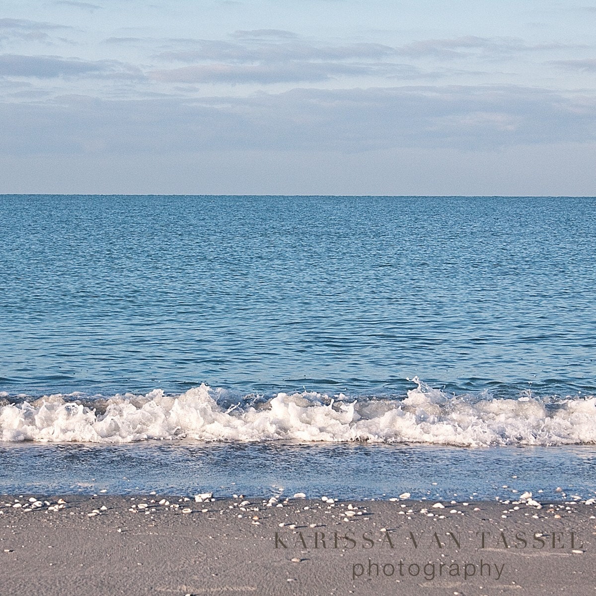 Island Elements No. 2- 8x10 Signed Fine Art Photograph
